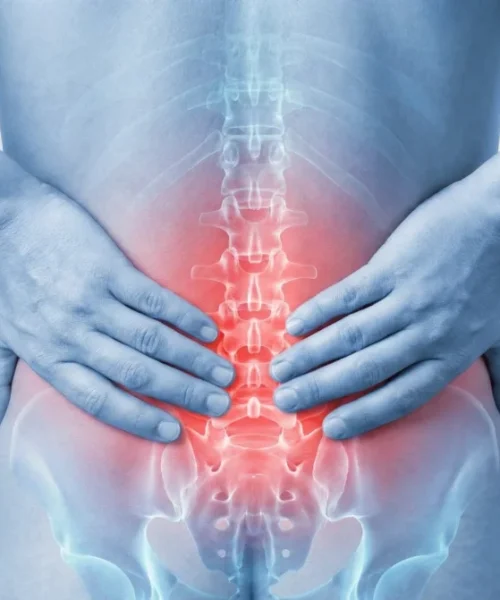 Low-Back-Pain.webp